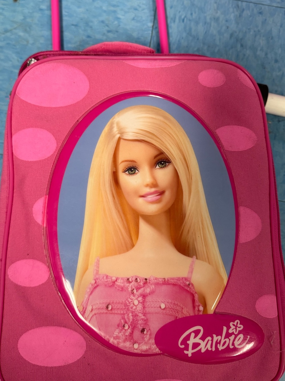 Multiple Barbies and Ken, Clothes accessories, and carry case
